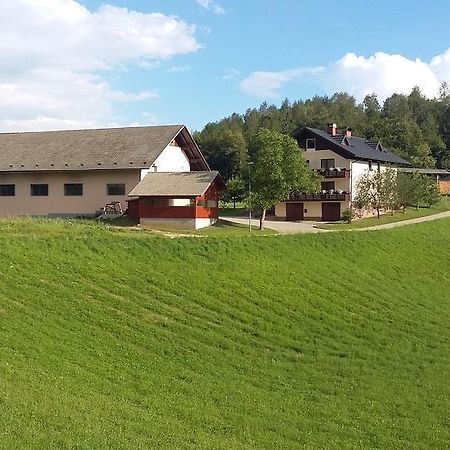 Apartment Vrtacnik Štefanja Gora エクステリア 写真