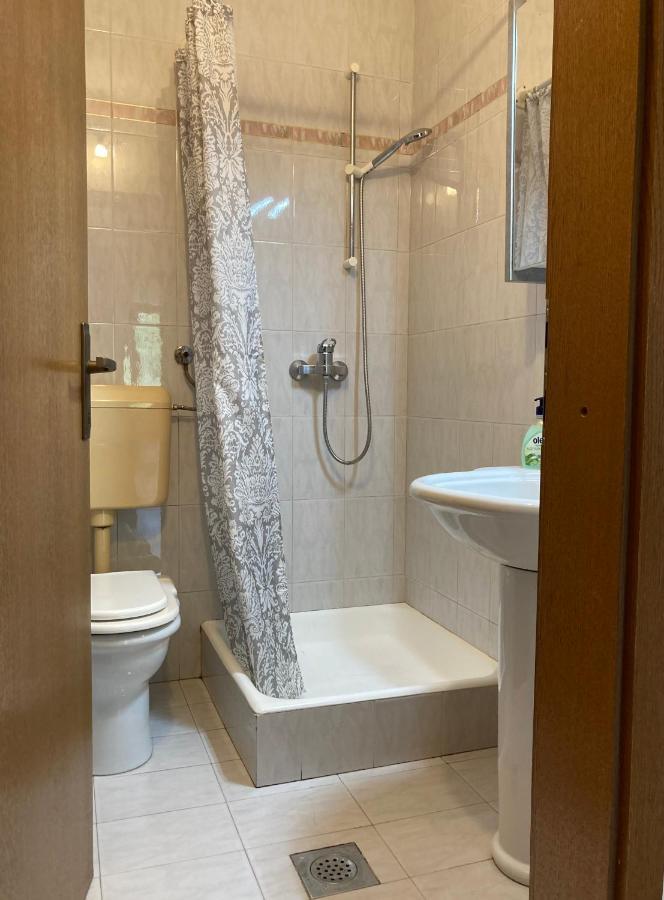 Apartment Vrtacnik Štefanja Gora エクステリア 写真