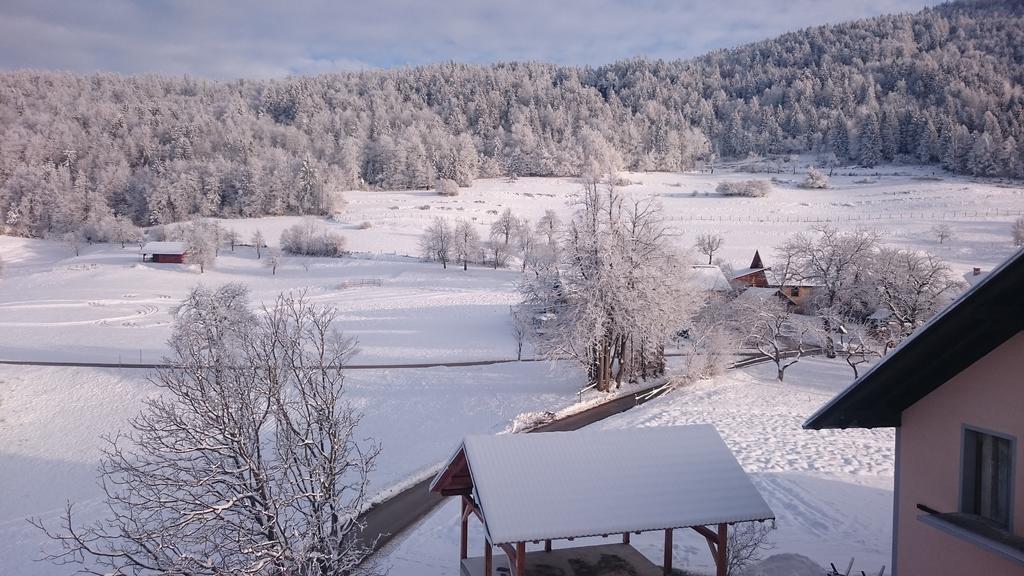 Apartment Vrtacnik Štefanja Gora エクステリア 写真