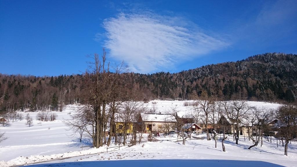 Apartment Vrtacnik Štefanja Gora エクステリア 写真