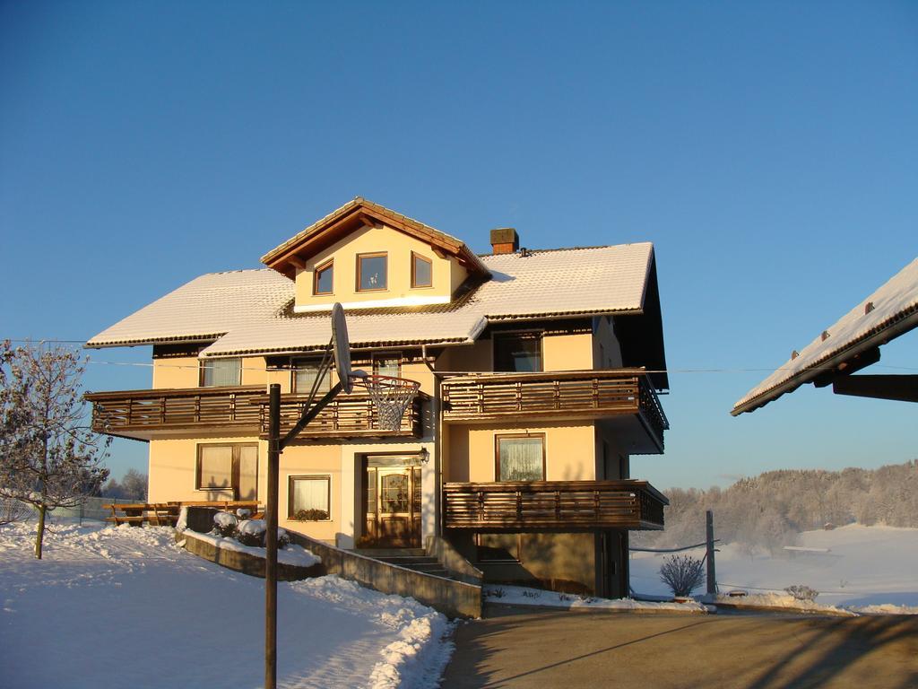 Apartment Vrtacnik Štefanja Gora エクステリア 写真