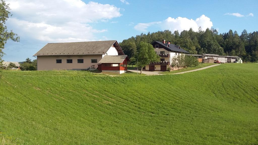 Apartment Vrtacnik Štefanja Gora エクステリア 写真